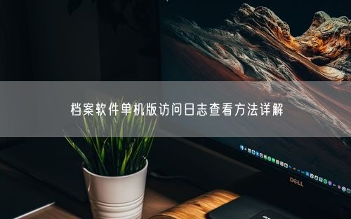 档案软件单机版访问日志查看方法详解