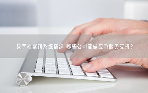 数字档案馆系统搭建 哪些公司能做应急服务支持？