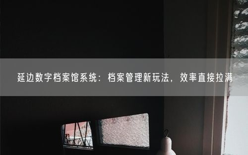 延边数字档案馆系统：档案管理新玩法，效率直接拉满