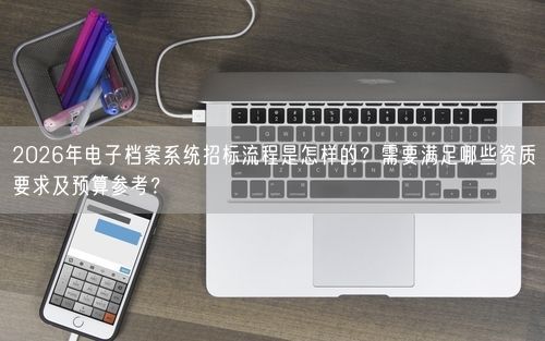 2026年电子档案系统招标流程是怎样的？需要满足哪些资质要求及预算参考？