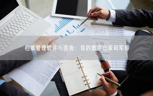档案管理软件与咨询：你的数字仓库和军师