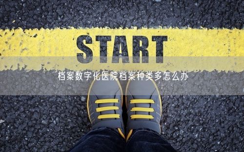 档案数字化医院档案种类多怎么办