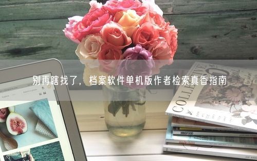 别再瞎找了，档案软件单机版作者检索真香指南