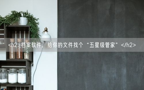 <h2>档案软件，给你的文件找个“五星级管家”</h2>