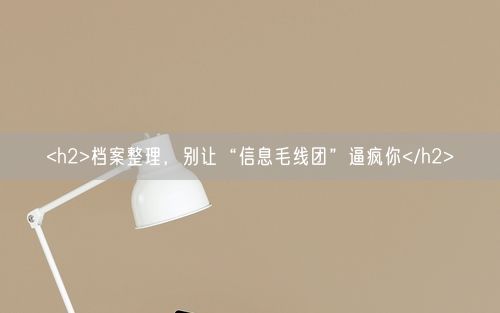 <h2>档案整理，别让“信息毛线团”逼疯你</h2>