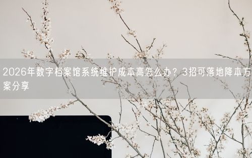 2026年数字档案馆系统维护成本高怎么办？3招可落地降本方案分享