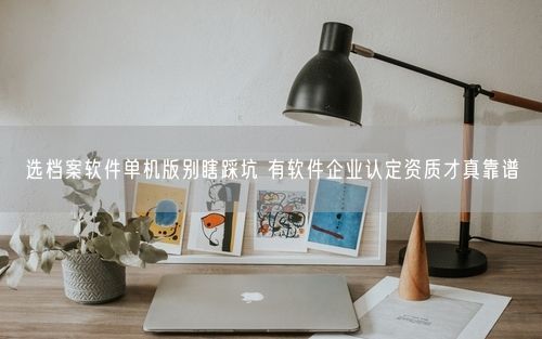 选档案软件单机版别瞎踩坑 有软件企业认定资质才真靠谱