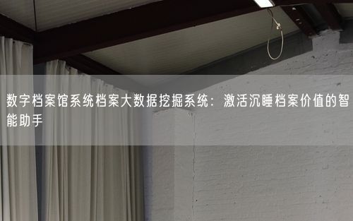数字档案馆系统档案大数据挖掘系统：激活沉睡档案价值的智能助手