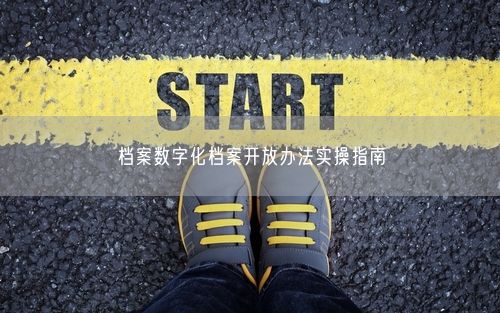 档案数字化档案开放办法实操指南