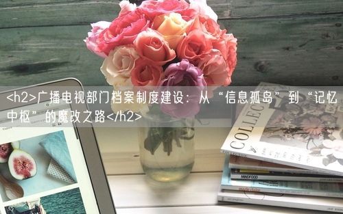 <h2>广播电视部门档案制度建设：从“信息孤岛”到“记忆中枢”的魔改之路</h2>