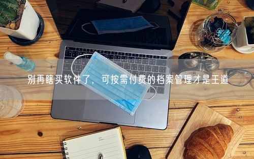 别再瞎买软件了，可按需付费的档案管理才是王道