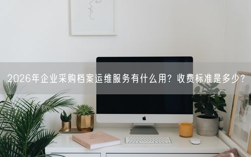 2026年企业采购档案运维服务有什么用？收费标准是多少？