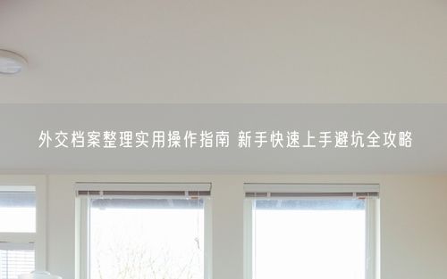 外交档案整理实用操作指南 新手快速上手避坑全攻略