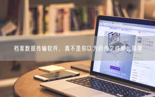 档案数据传输软件，真不是你以为的传文件那么简单