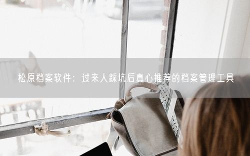 松原档案软件：过来人踩坑后真心推荐的档案管理工具