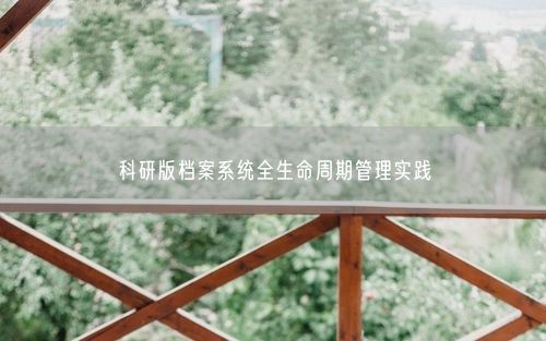科研版档案系统全生命周期管理实践