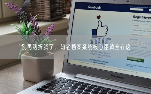 别再瞎折腾了，知名档案系统核心逻辑全在这