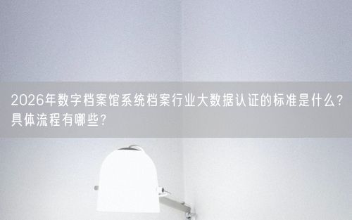 2026年数字档案馆系统档案行业大数据认证的标准是什么？具体流程有哪些？