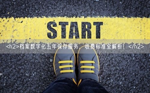 <h2>档案数字化五年保存服务，收费标准全解析！</h2>
