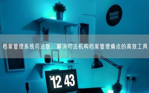 档案管理系统司法版：解决司法机构档案管理痛点的高效工具