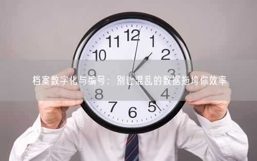 档案数字化与编号：别让混乱的数据拖垮你效率