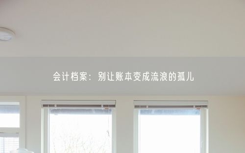 会计档案：别让账本变成流浪的孤儿