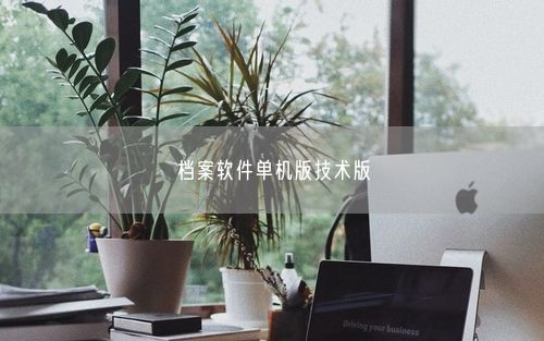 档案软件单机版技术版