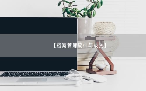 【档案管理软件与录入】