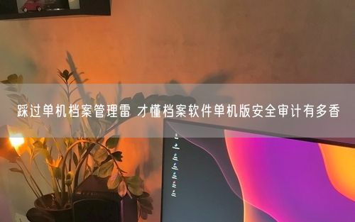 踩过单机档案管理雷 才懂档案软件单机版安全审计有多香