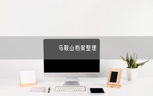 马鞍山档案整理