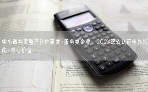 中小微档案整理软件研发+服务类企业：202X双软认证申办指南+核心价值