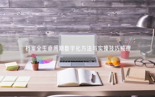 档案全生命周期数字化方法与实操技巧梳理
