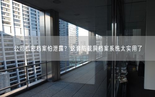 公司机密档案怕泄露？这套防截屏档案系统太实用了