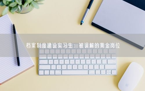 档案制度建设实习生：被误解的黄金岗位