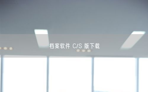 档案软件 C/S 版下载
