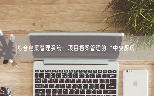 综合档案管理系统：项目档案管理的“中央厨房”