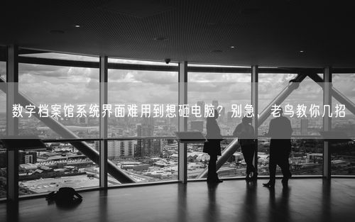 数字档案馆系统界面难用到想砸电脑？别急，老鸟教你几招