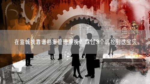 在宣城找靠谱档案管理系统？踩过3个坑挖到这宝贝