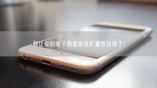 别让你的电子档案系统扩展性拉垮了！