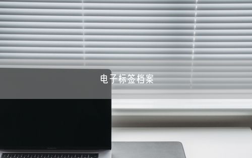 电子标签档案