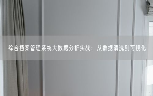 综合档案管理系统大数据分析实战：从数据清洗到可视化
