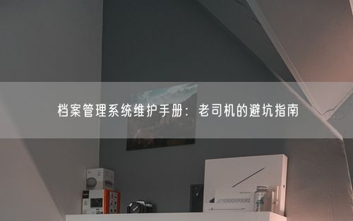 档案管理系统维护手册：老司机的避坑指南