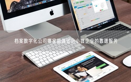 档案数字化公司哪家能做适合小微企业的靠谱服务