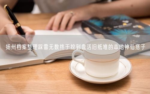 扬州档案整理踩雷无数终于挖到盘活旧纸堆的本地神仙搭子