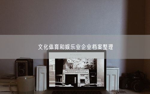 文化体育和娱乐业企业档案整理