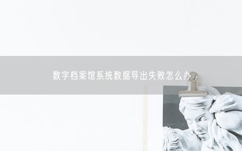 数字档案馆系统数据导出失败怎么办