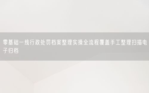 零基础一线行政处罚档案整理实操全流程覆盖手工整理扫描电子归档
