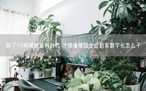 踩了10吨橡胶废料的坑 才搞懂橡胶企业档案数字化怎么干