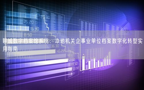 聊城数字档案馆系统：本地机关企事业单位档案数字化转型实用指南
