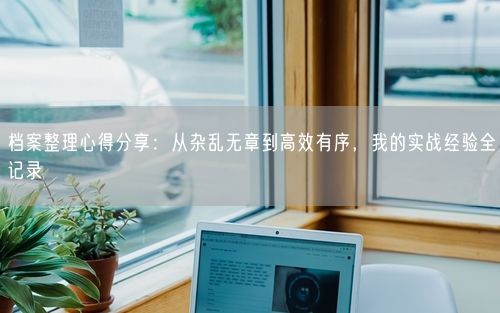 档案整理心得分享：从杂乱无章到高效有序，我的实战经验全记录